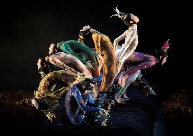 Dancers of China's Peacock Contemporary Dance Company perform Yang Liping's Rite of Spring during the International Contemporary Dance Festival DANCEINVERSION on the stage of Bolshoi Theatre in Moscow, Russia on September 10, 2019. (Photo by Shamil Zhumatov/Reuters)