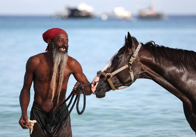 A horse trainer takes his horse into the water at Pebble Beach on June 28, 2024 in Bridgetown, Barbados. The swimming horses of Barbados offer a unique and remarkable experience at Pebbles Beach, where racehorses from the nearby Garrison Savannah enjoy their morning swim almost daily between 5:30 am and 7 am. During this ritual, horses swim out surprisingly far to the moored boats before returning to shore, with some staying longer in the water if recovering from injury or soreness after a race. Visitors can observe the horses' individual personalities as they swim and interact with the water, but are advised to respect the guidance of the grooms and maintain a safe distance, as horses can behave unpredictably, especially if frightened. (Photo by Robert Cianflone/Getty Images)