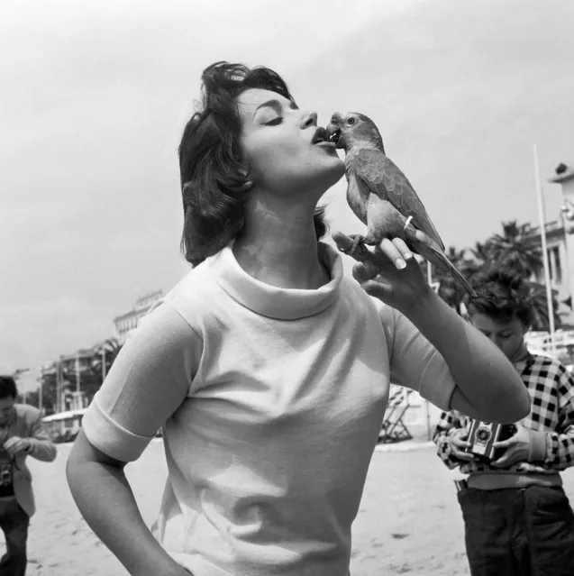 “Belle de Jour” star Francoise Fabian at the 9th Cannes International Film Festival, France, 1956. (Photo by SIPA Press/Rex Features/Shutterstock)