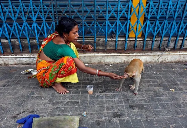 A woman feeds her pet monkey Rani outside closed shops on a pavement in Kolkata, India May 30, 2016. (Photo by Rupak De Chowdhuri/Reuters)