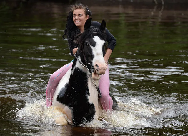 A traveller rides her horse through the river during the Appleby Horse Fair on June 5, 2014 in Appleby, England. The Appleby Horse Fair has existed under the protection of a charter granted by James II since 1685 and is one of the key gathering points for the Romany, gypsy and traveling community. The fair is attended by about 5,000 travellers who come to buy and sell horses. The animals are washed and groomed before being ridden at high speed along the “mad mile” for the viewing of potential buyers. (Photo by Nigel Roddis/Getty Images)