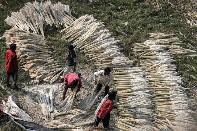 Workers sort kans grass, a seasonal plant mainly used in traditional crafts and ceremonies, collected along the banks of river Yamuna in New Delhi on October 18, 2024. (Photo by Arun Sankar/AFP Photo)