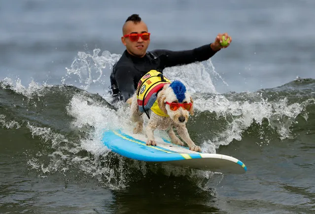 Derby the dog surfs while getting a push off by his owner Kentucky during the World Dog Surfing Championships at Linda Mar Beach in Pacifica, California, USA, 05 August 2017. Abbie holds the 2013 Guinness World Record for the Longest Wave Surfed by a dog. (Photo by John G. Mabanglo/EPA)