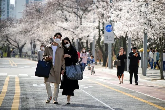 A couple takes a walk near a cherry blossom trees street, closed to avoid the spread of the coronavirus disease (COVID-19), in Seoul, South Korea, April 1, 2020. (Photo by Kim Hong-Ji/Reuters)