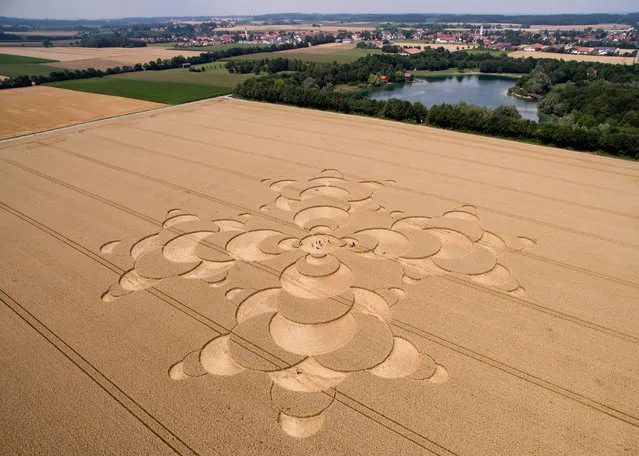 An aerial view shows people strolling through a crop circle on a field near Mammendorf, southern Germany, on July 26, 2016. The pattern has a diameter of 180 meters. (Photo by Sven Hoppe/AFP Photo/DPA)