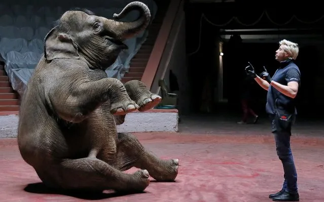 Animal tamer Andrei Dementyev-Kornilov rehearses his elephant circus show Indi-Ra at the Sochi State Circus deserted amid the ongoing COVID-19 pandemic on April 25, 2020. On March 31, the regional authorities ordered to cancel all shows and public entertainment events as part of efforts to counter the spread of the coronavirus infection. (Photo by Dmitry Feoktistov/TASS)