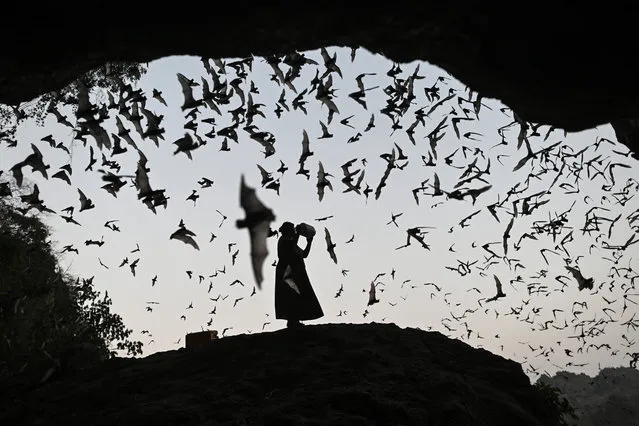 A woman makes noise as she directs the bats away from power tower in Hpa-An, Karen State on March 1, 2020. (Photo by Ye Aung Thu/AFP Photo)