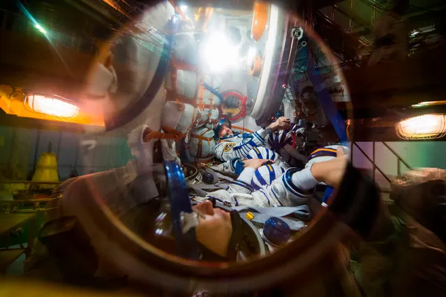 Members of the International Space Station (ISS) expedition 54/55, NASA astronaut Scott Tingle (back), Roscosmos cosmonaut Anton Shkaplerov (C) and Norishige Kanai of the Japan Aerospace Exploration Agency (JAXA) (front) take part in the preflight preparation at the Russian leased Kazakh Baikonur cosmodrome on December 05, 2017. The space crew is to take off to the International Space Station (ISS) aboard the Soyuz MS-07 on December 17, 2017 from the Baikonur Cosmodrome in Kazakhstan. (Photo by AFP Photo/Stringer)