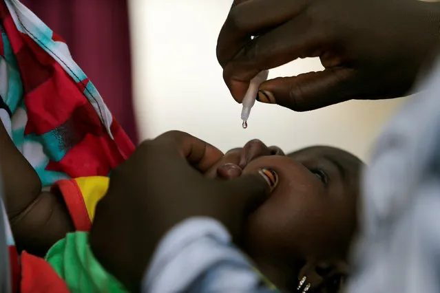 A child is given a dose of polio vaccine at an immunisation health centre, in Maiduguri, Borno State, Nigeria, August 29, 2016. (Photo by Afolabi Sotunde/Reuters)