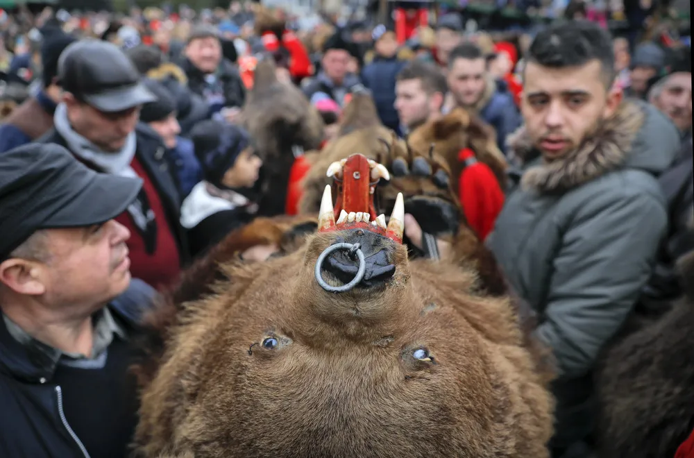 Bear Dance Ritual connects Romania with the Past