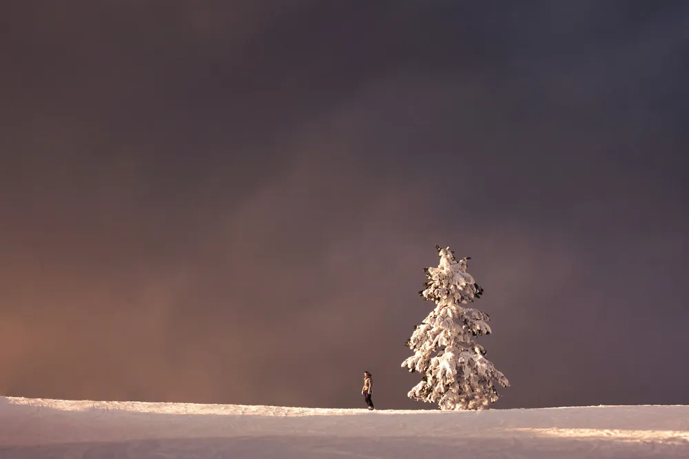 Photography by Elizabeth Gadd