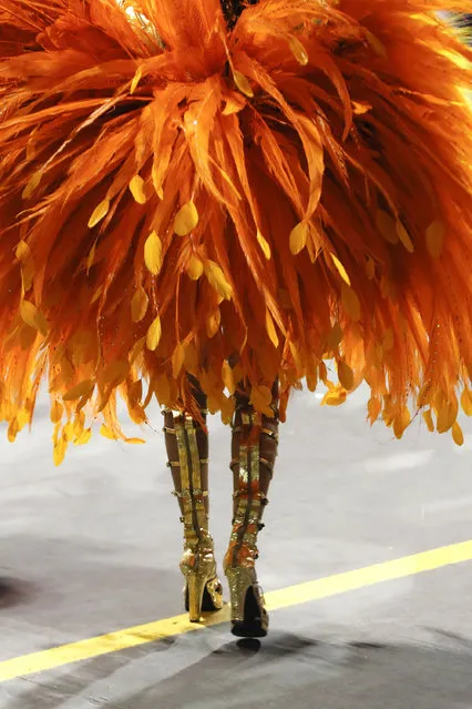 Details of the custome of a member of the samba school Grupo Especial Unidos do Peruche as she participates in the carnival celebration at the Anhembi sambodrome in Sao Paulo, Brazil, February 9, 2018. (Photo by Sebastiao Moreira/EPA/EFE/Rex Features/Shutterstock)