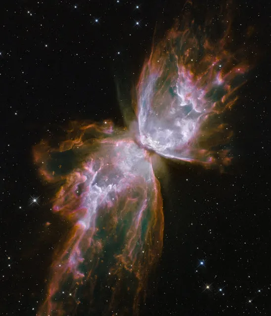 A planetary nebula named NGC 6302, also known as, Butterfly Nebula and Bug Nebula, in the Scorpius constellation is pictured July 27, 2009. (Photo by NASA/ESA/The Hubble SM4 ERO Team)