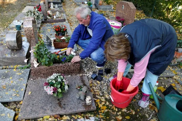 Local residents clean the grave of their dog “Majdy” at the cimetiere des chiens (Cemetery of dogs) ahead of the commemoration of All Saints Day at the Montmartre cemetery in Asnieres, northern Paris, France, October 30, 2016. (Photo by Charles Platiau/Reuters)