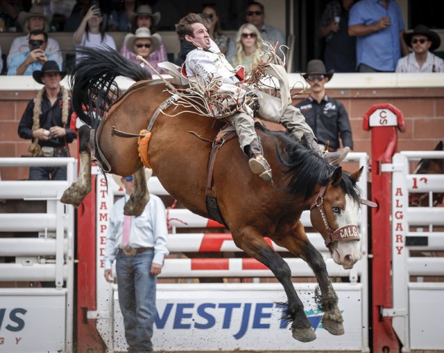Cole Franks, of Texas, rides Forgetfull Nelly during bareback rodeo action at the Calgary Stampede in Calgary, Alberta, Saturday, July 6, 2024. (Photo by Jeff McIntosh/The Canadian Press via AP Photo)