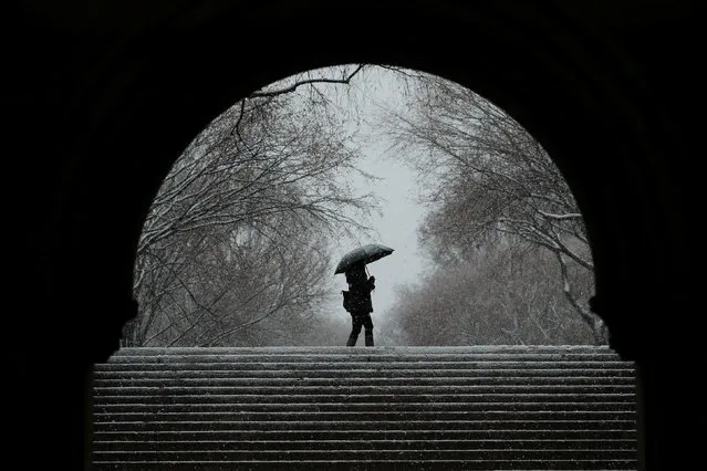 A pedestrian walks through Central Park during a snow storm in New York, U.S., March 7, 2018. (Photo by Lucas Jackson/Reuters)