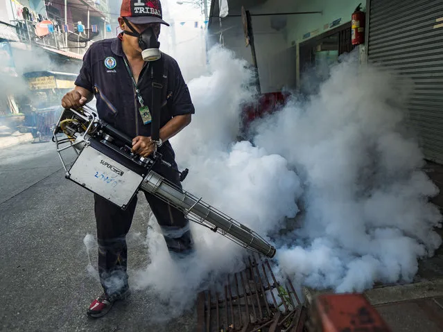 December 2, 2015 - Bangkok, Bangkok, Thailand - A health department mosquito control worker sprays homes and businesses in a neighborhood in Bangkok. The Public Health Ministry in Thailand said that more than 111,000 cases of dengue fever have been reported in 2015, an increase of more than 200% over the number of cases of dengue fever reported 2014. (Photo by Jack Kurtz/ZUMA Wire)