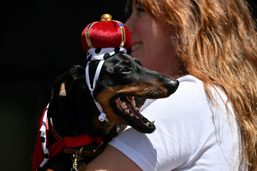 Pictures of the Year 2024, Part 200/240