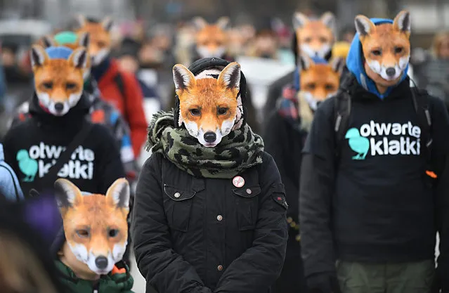 People wearing fox masks take part in the “Day without fur” demonstration near the Polish Sejm headquaters in Warsaw, Poland, 15 November 2016. The demonstrators oppose breeding canine animals for gaining the fur. In this case the signatures for a petition were gathered and stored in the Chancellery of the Sejm. The slogan on the posters says: “The victims of the Polish fur industry”. (Photo by Bartlomiej Zborowski/EPA)