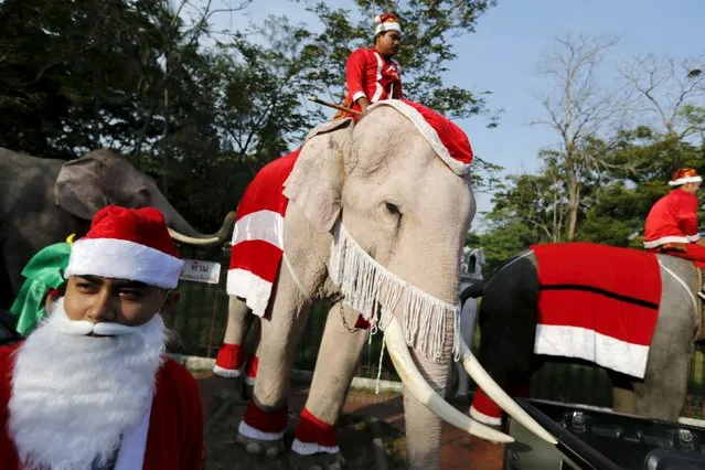 Elephants parade during a Christmas festival in a primary school in Ayutthaya, Thailand, December 24, 2015. (Photo by Jorge Silva/Reuters)