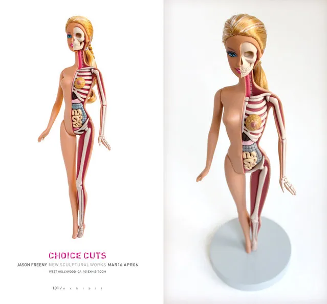 Anatomical Toys By Jason Freeny