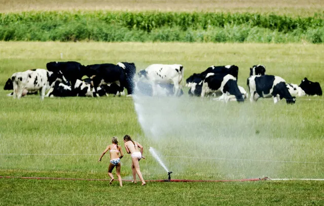 Two girls play with a sprinkler as a field is being sprayed with water in the area around Amerongen, The Netherlands, 18 July 2018. Large parts of Europe are experiencing a long stretch of warm summer weather with little precipation. (Photo by Robin van Lonkhuijsen/EPA/EFE)
