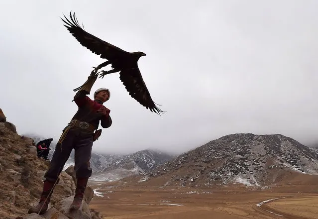 A Kyrgyz berkutchi (eagle hunter) launches his bird, a golden eagle, during the hunting festival “Salburun” in the village of Tuura-Suu, near Issyk-Kule lake, some 280 kilometers from Bishkek, Kyrgyzstan, on February 23, 2021. Salburun is a traditional kind of hunt in Kyrghyzstan and in Central Asia. The festival involves four disciplines including falconry, archery and mounted archery. (Photo by Vyacheslav Oseledko/AFP Photo)