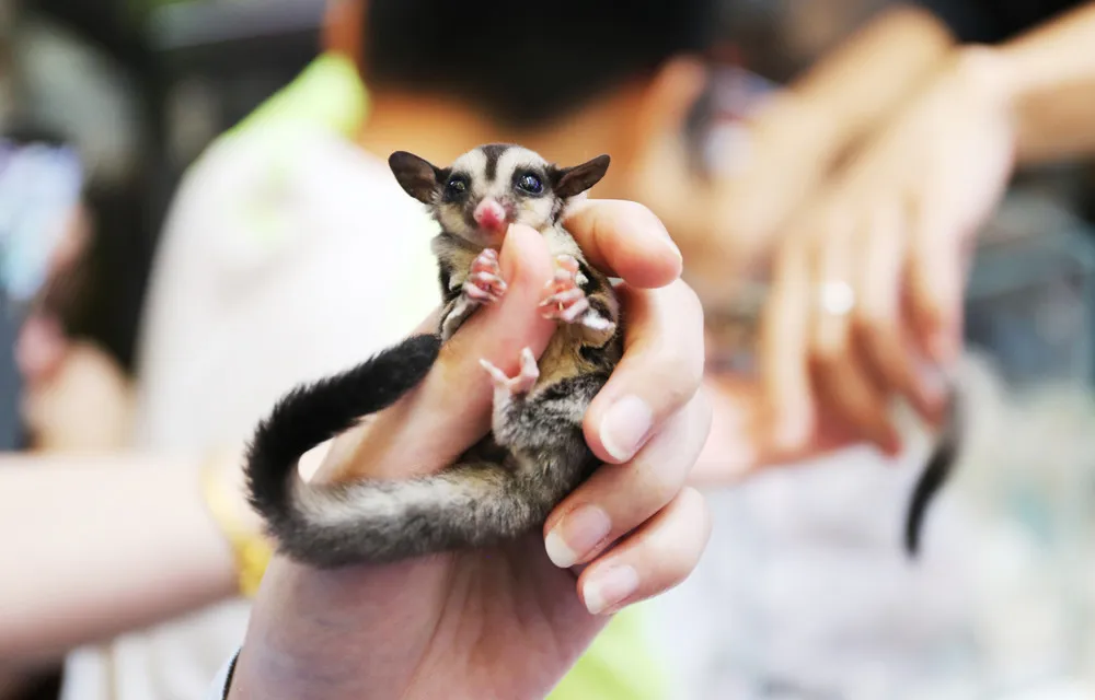 A Look at Life in China