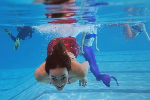 AquaMermaid founder Marielle Chartier Henault swims in a pool in Montreal, February 19, 2015. (Photo by Christinne Muschi/Reuters)