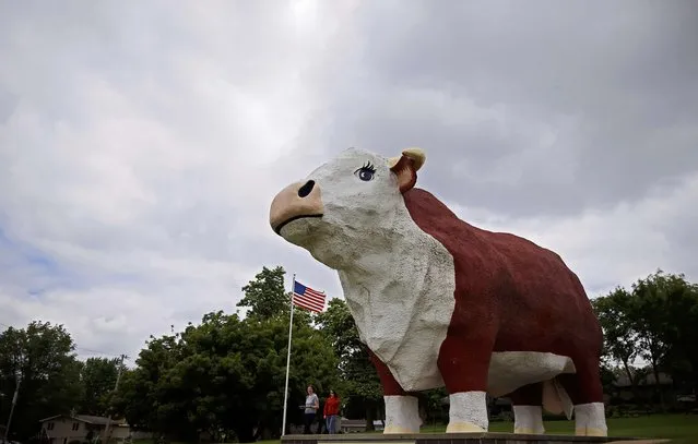Visitors walk under “Albert the bull”, a giant fiberglass statue in Audubon, Iowa, United States, June 13, 2015. (Photo by Jim Young/Reuters)