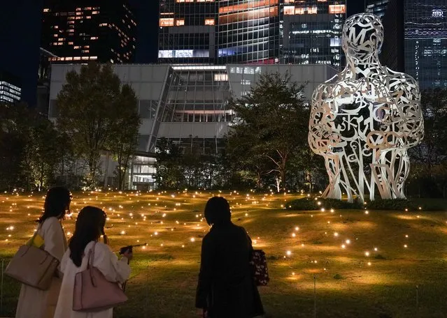 Light art “Firefly Field”, by Studio Toer, Netherlands, is displayed on November 13, 2023 in Tokyo, Japan. The TORANOMON LIGHT ART event is being held from November 13, 2023 through to January 8, 2024 in the Toranomon Hills and Shintora-dori Avenue. (Photo by Christopher Jue/Getty Images)