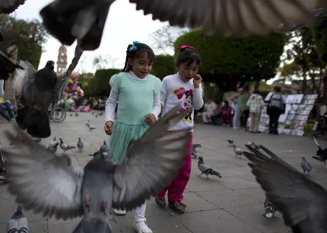 Girls chase pigeons in the Zocalo, or central square, in Morelia, Michoacan state, Mexico, Monday, February 15, 2016. On his one-day trip Tuesday to the capital of troubled Michoacan state, Pope Francis will visit the cathedral, meet with youth, and celebrate Mass with priests and seminarians, and religious men and women.(Photo by Rebecca Blackwell/AP Photo)