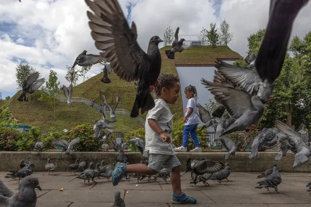 Children run around amongst pigeons in front of the “Marble Arch Mound” on July 28, 2021 in London, England. The temporary installation next to Marble Arch, designed by architects MVRDV, has drawn criticism with refunds being offered to people who had paid to visit the attraction. (Photo by Dan Kitwood/Getty Images)