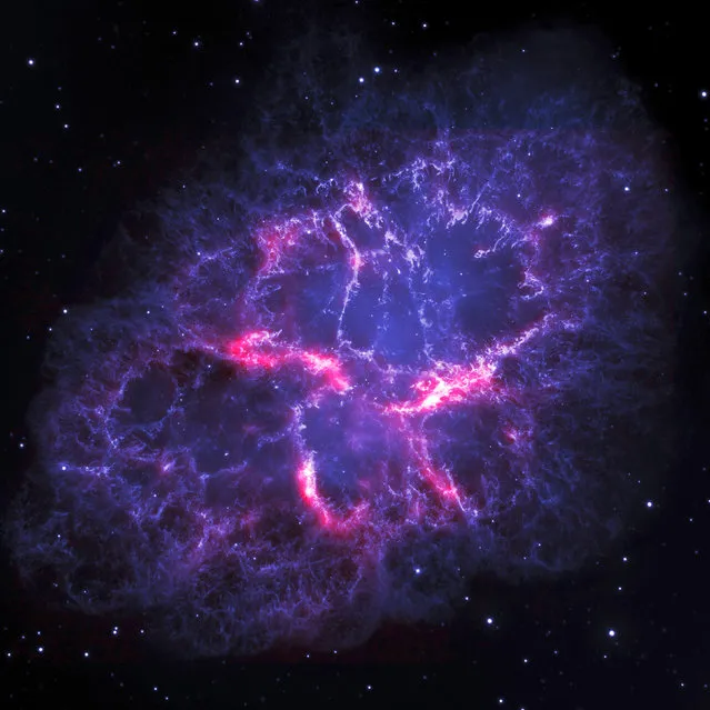 A composite view of the Crab nebula, an iconic supernova remnant in our Milky Way galaxy. The Crab is arguably the single most interesting object, as well as one of the most studied, in all of astronomy. The Crab Nebula is one of the most intricately structured and highly dynamical objects ever observed. (Photo by Reuters/NASA/ESA)