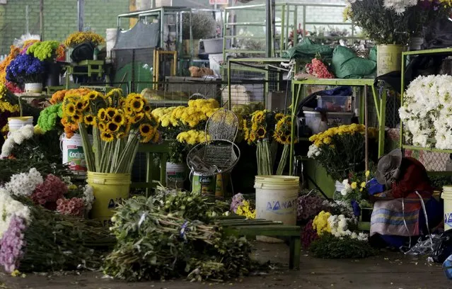 A florist arranges flowers at the Piedra Liza flower market in Lima April 29, 2015. (Photo by Mariana Bazo/Reuters)