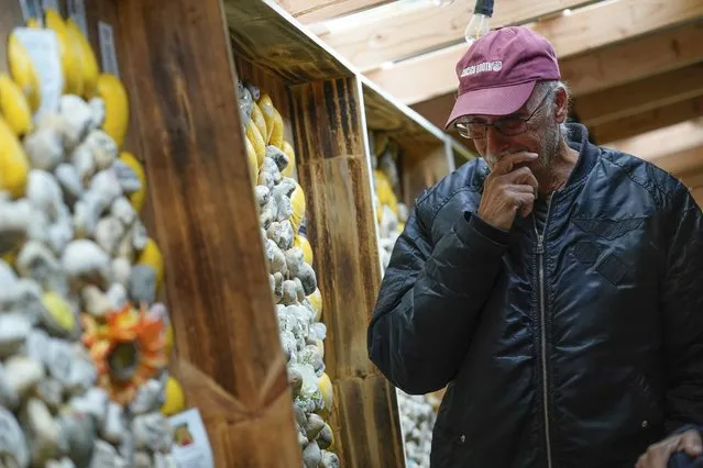 Mike Baronick reacts after seeing the name of his wife, who died from COVID-19, written on a rock during his first visit to the Rami's Heart COVID-19 Memorial in Wall Township, N.J., Wednesday, October 27, 2021. The memorial, which started out on a Jersey shore beach made of shells and rocks, has found a permanent home at Allaire Community Farm. Started by Rima Samman and named after her brother Rami, who was killed by the coronavirus, it has grown to more than 4,000 victims' names, with dozens of new names added every week. (Photo by Seth Wenig/AP Photo)