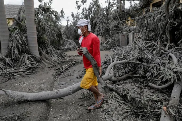 A worker carries a fallen branch in a resort blanketed with volcanic ash in Talisay, Batangas, Philippines, January 14, 2020. (Photo by Eloisa Lopez/Reuters)