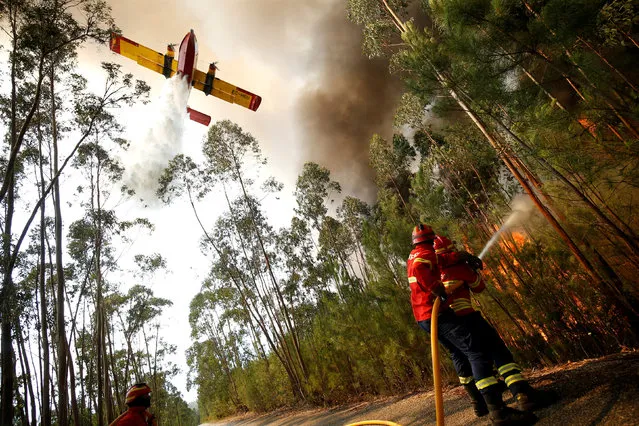 Firefighters work to put out a forest fire next to the village of Macao, near Castelo Branco, Portugal, July 26, 2017. (Photo by Rafael Marchante/Reuters)