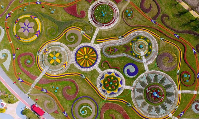 Aerial view of flowers blooming in a park, Yangzhou City, Jiangsu Province, China on March 19, 2020. (Photo by Costfoto/Barcroft Media via Getty Images)
