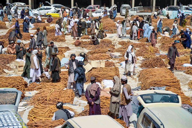 Afghan traders sort figs for sale at a wholesale market in Kandahar on September 17, 2024. (Photo by Sanaullah Seiam/AFP Photo)