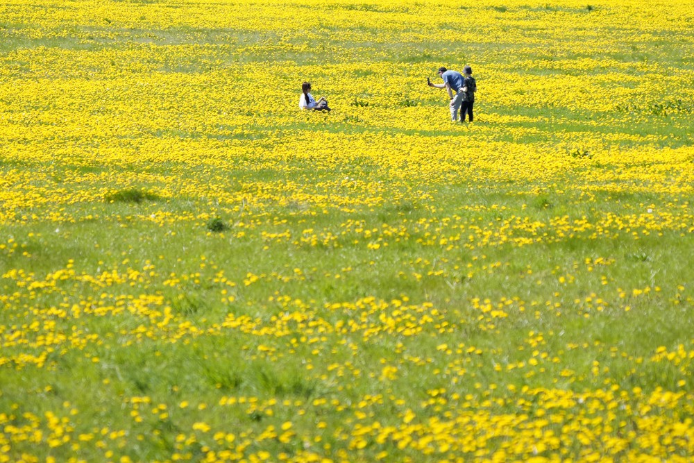 Some Photos: In Flowers