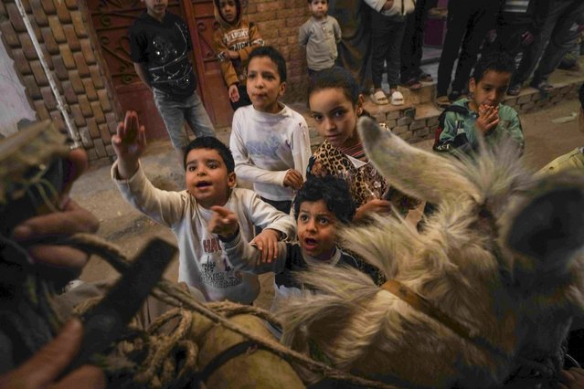 Children reach out to 55-year-old “musaharati”, or “dawn caller” Essam Sayed, as he rides his donkey to wake people up for a meal before sunrise, during the Islamic holy month of Ramadan, in the Arab Ghoneim district of Helwan on the southern outskirts of Cairo, Egypt, Saturday, March 15, 2025. (Photo by Amr Nabil/AP Photo