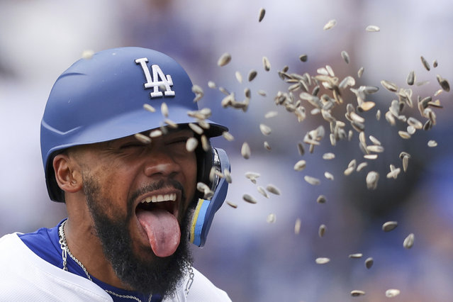 Los Angeles Dodgers' Teoscar Hernández celebrates as sunflower seeds are tossed at him after hitting a home run during the fifth inning of a baseball game against the Pittsburgh Pirates, in Los Angeles, April 27, 2025. (Photo by Jessie Alcheh/AP Photo)