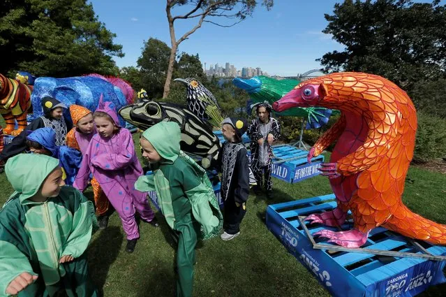 Children wearing outfits representing rare and endangered animal species roam around giant lanterns depicting those animals during an event marking the 100th anniversary of Sydney' Taronga Zoo, September 15, 2016. The lanterns will be used in a parade down the streets of Sydney during a year of celebration marking the zoo's milestone. (Photo by Jason Reed/Reuters)