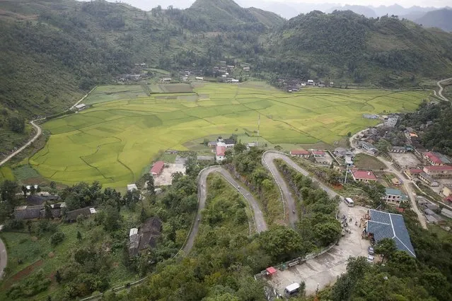Rice paddy field is seen at Lung Cu village, which borders with China, in Ha Giang province, Vietnam September 20, 2015. (Photo by Reuters/Kham)