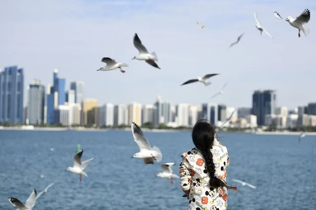 Young lady feeding the birds by the Corniche in the capital, Abu Dhabi on December 30, 2022. (Photo by Khushnum Bhandari/The National)