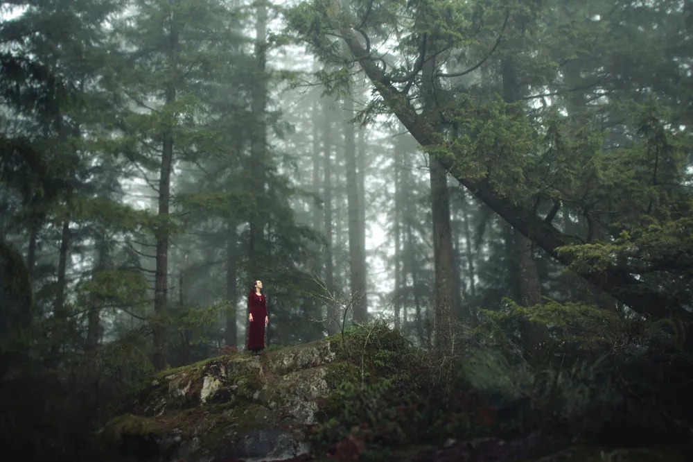 Photography by Elizabeth Gadd