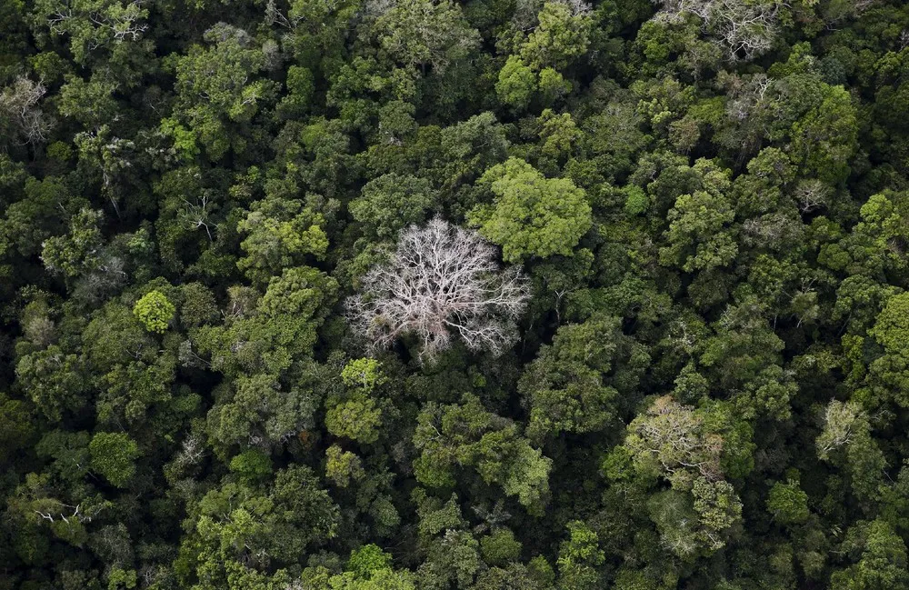 Earthprints: Rio Pardo