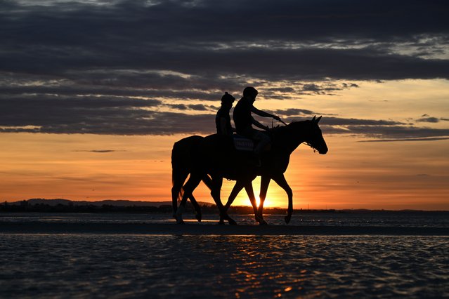 Tony & Calvin McEvoy trained Options (front) and Half Yours during a beach session at Altona Beach on October 05, 2025 in Melbourne, Australia. Half Yours is Favourite for the Caulfield Cup. (Photo by Vince Caligiuri/Getty Images)