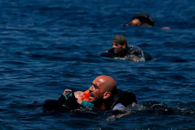 A Syrian refugee holding a baby in a lifetube swims towards the shore after their dinghy deflated some 100m away before reaching the Greek island of Lesbos, September 12, 2015. (Photo by Alkis Konstantinidis/Reuters)